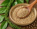 White Peppercorns