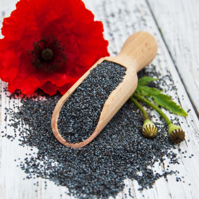 Poppy Seeds